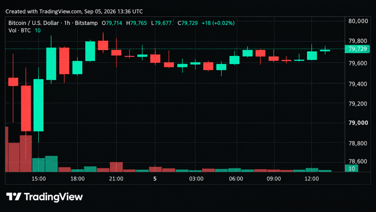 bitcoin-price-teeters-near-80k-as-momentum-starts-to-crack-768x432-1