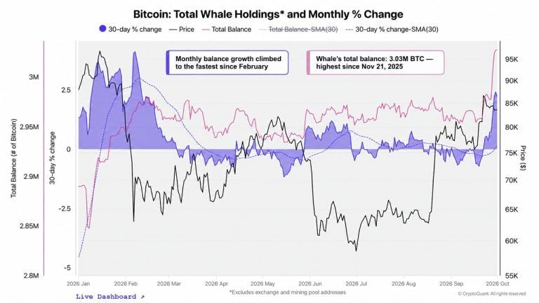 btc-whale-chart-768x432-1