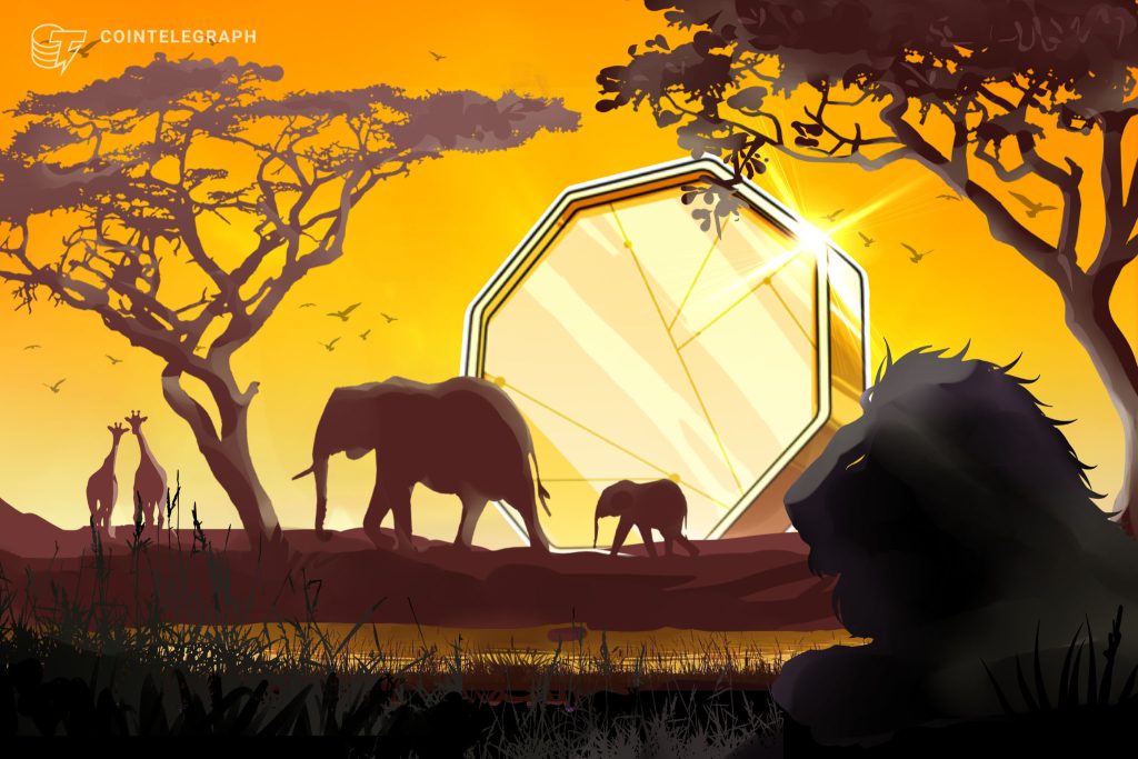 coinsavanna-1