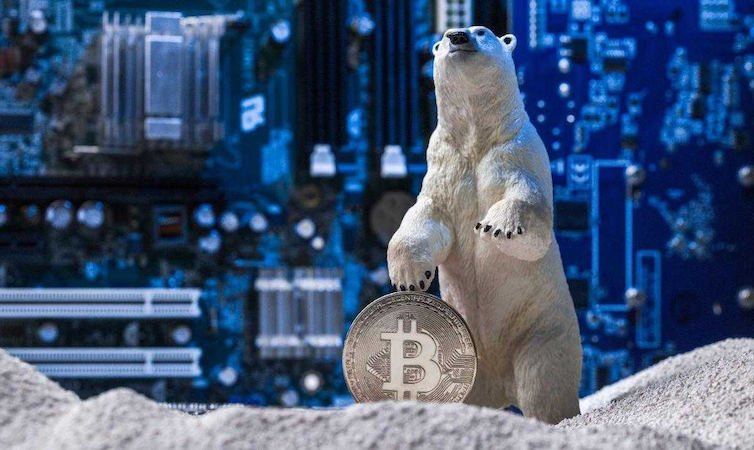crypto_winter