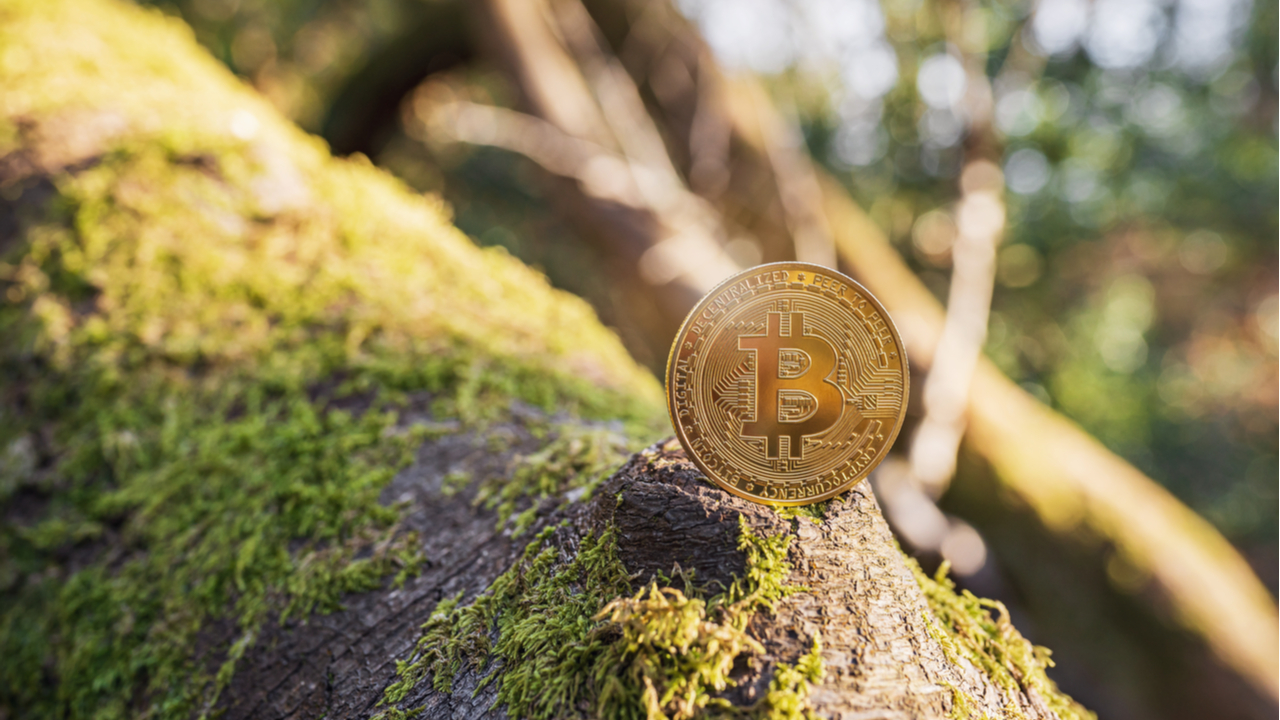 cryptowisser-cryptocurrency-likely-to-be-more-environmentally-friendly-than-traditional-banks