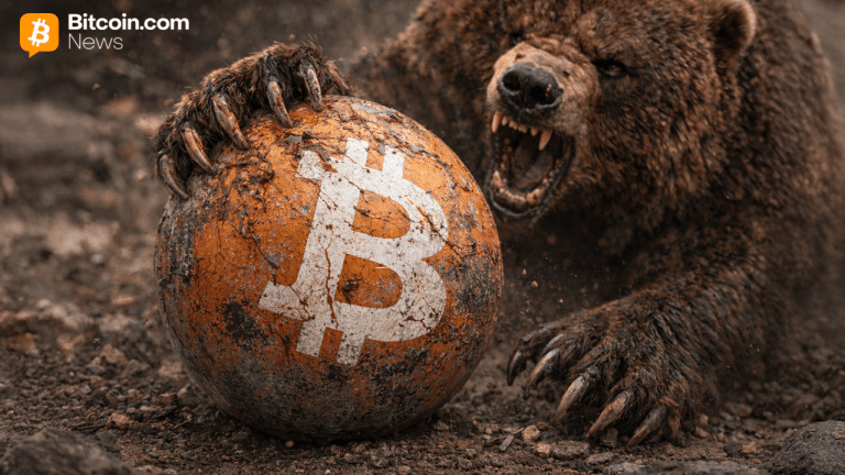 ddddbear-768x432-1