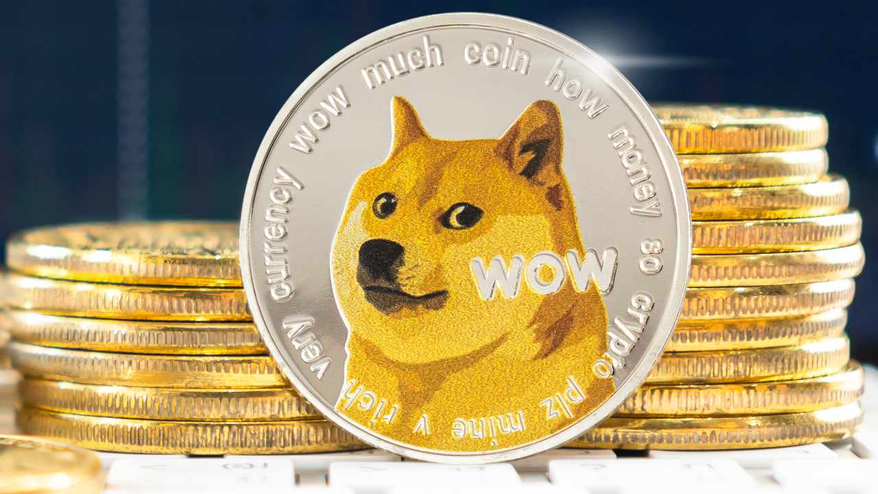 dogecoin-foundation
