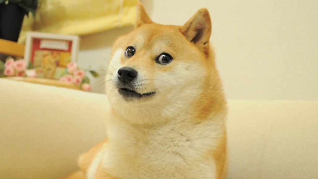 dogenft
