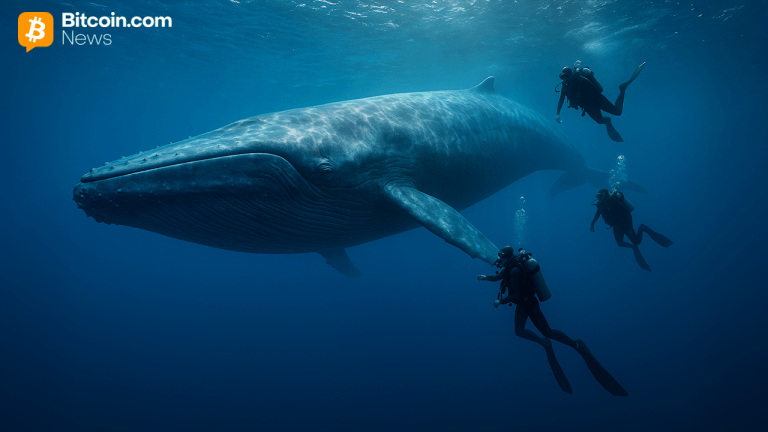 ffffwwwl-768x432-1