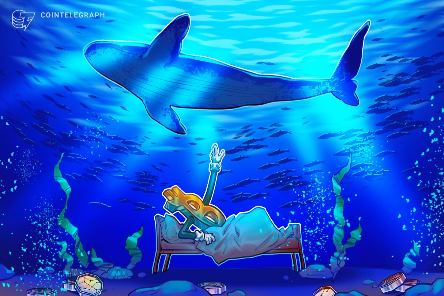 hi-quantum-threat-to-bitcoin-80000-btc-just-moved-after-14-years