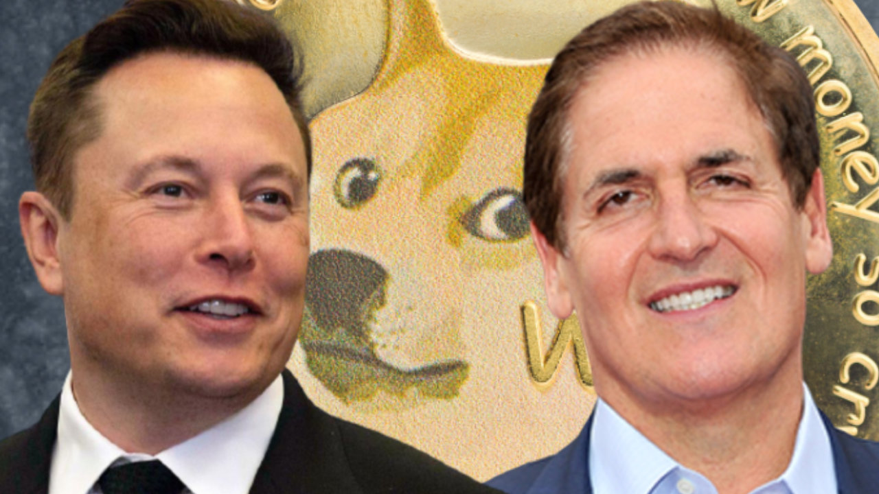 musk-cuban