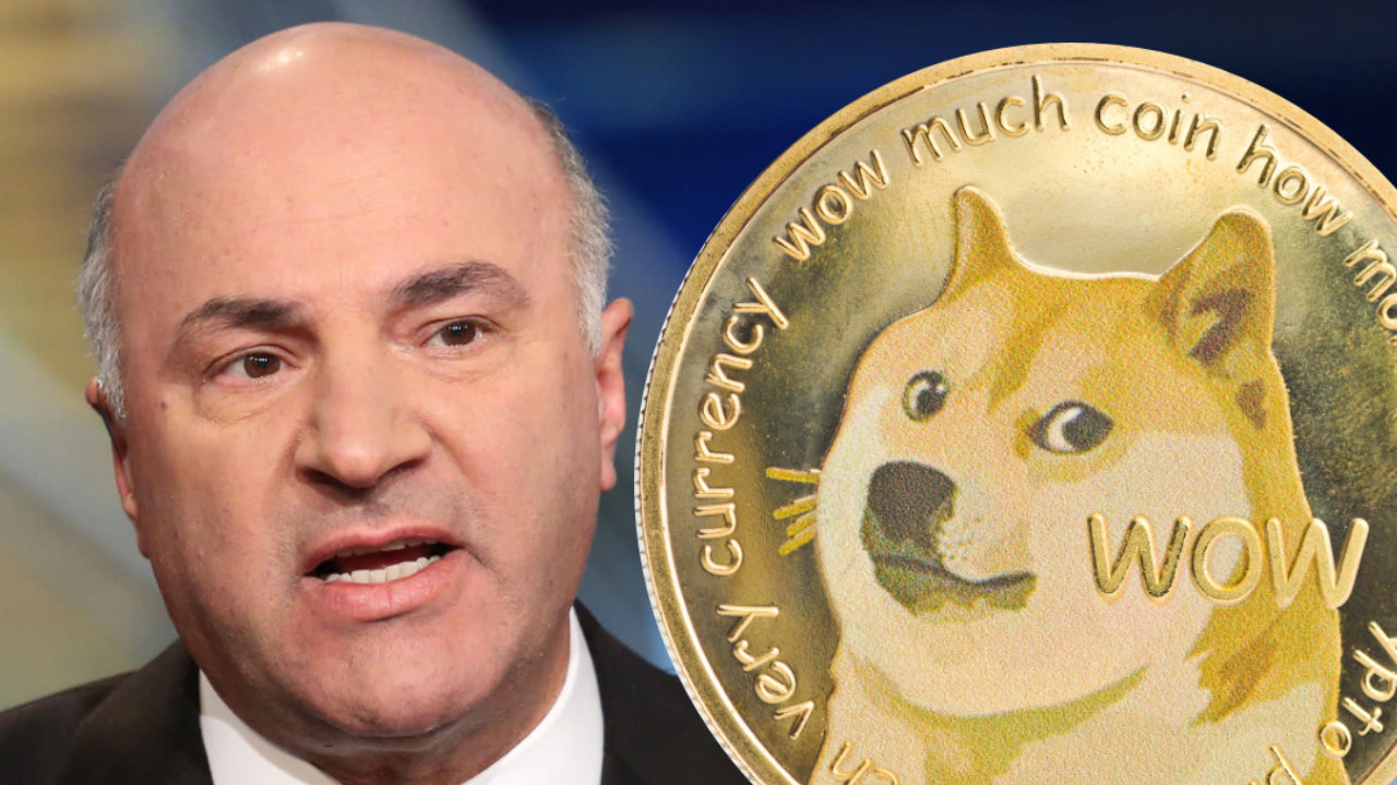 oleary-doge