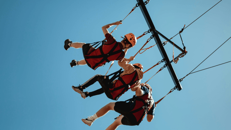people_swings-768x432-1