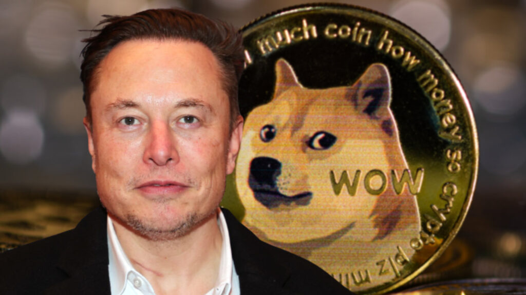pro-doge