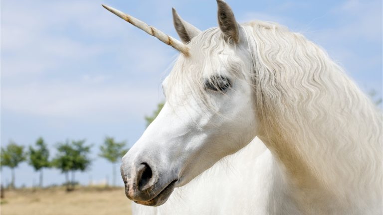 shutterstock_307341374-768x432-1