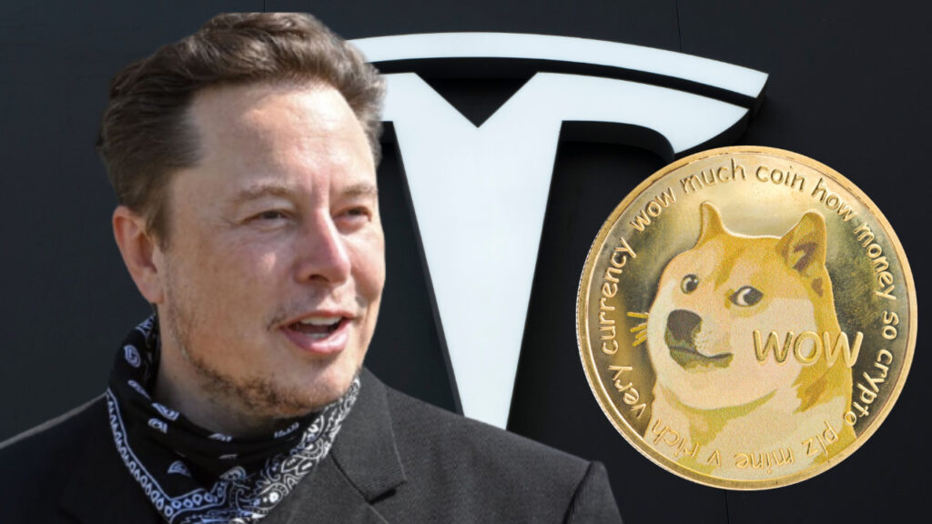 tesla-doge