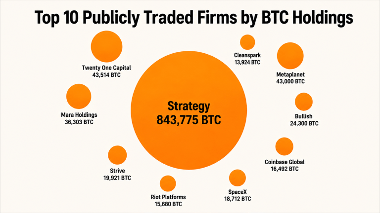 top-10-publicly-traded-firms-by-btc-holdings-reveal-a-million-bitcoin-power-bloc-768x432-1