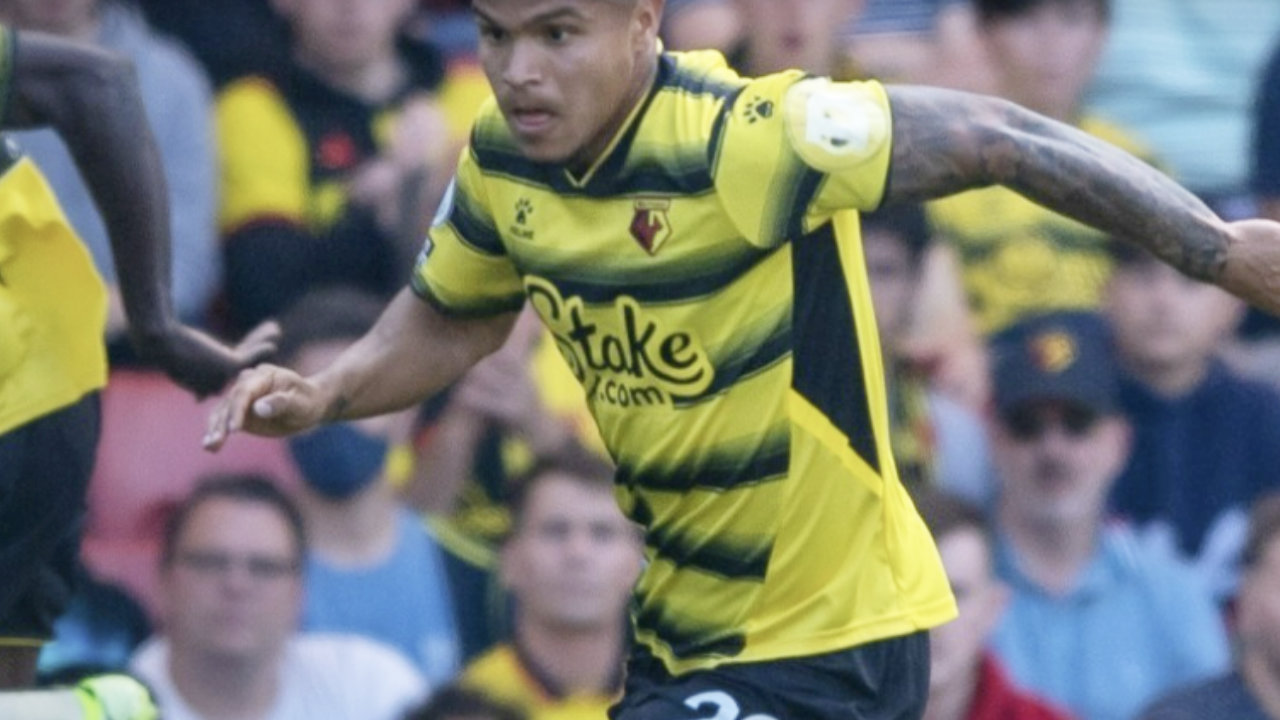 watford-doge