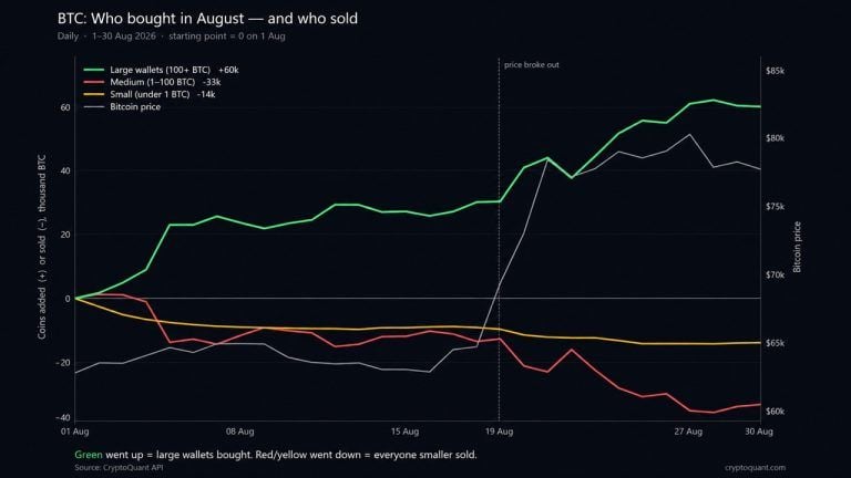 whales-added-60000-bitcoin-in-august-while-retail-sold2_nwmk-768x432-1