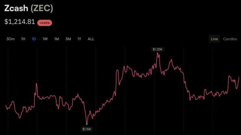 zcashs-1200-push-sustains-sending-garrett-jis-short-25-7m-underwater2_nwmk-768x432-1